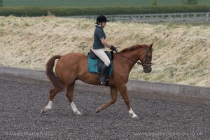 ISIS Dressage Challenge 2008